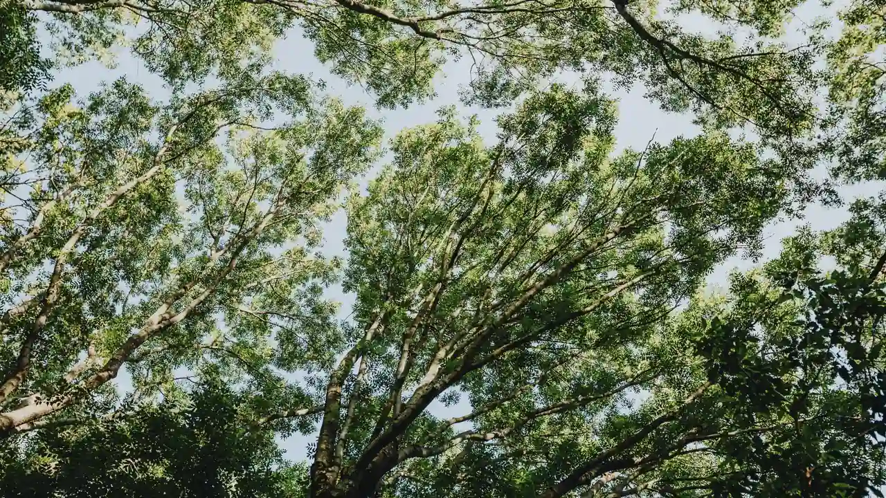 爱液nba免费观看网站截图1